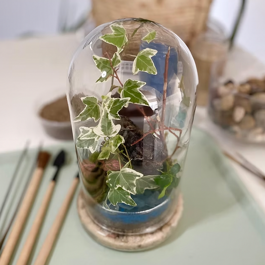 Dome Terrarium & Personalized Bracelet Workshop | MAY 10th | YYC Plant Delivery | LMM