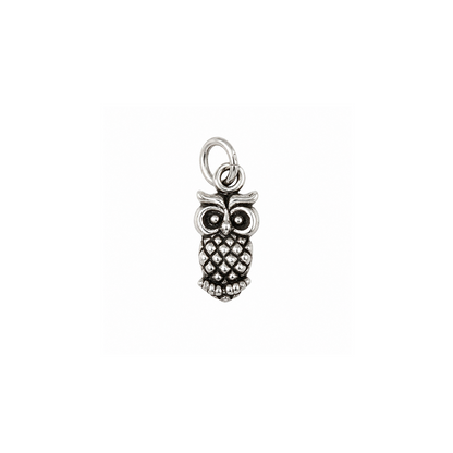 Sterling Silver Charms & Connectors